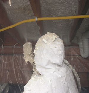 Burnaby BC crawl space insulation